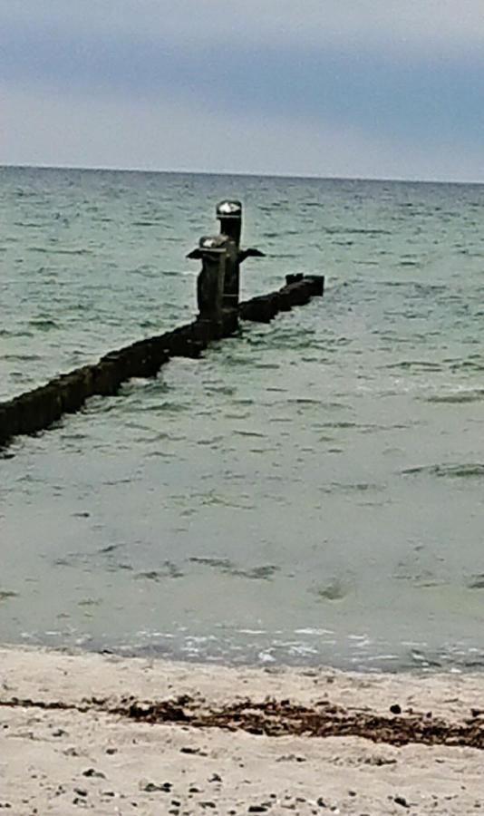 Ferienwohnung "Juliette" Zingst Buitenkant foto