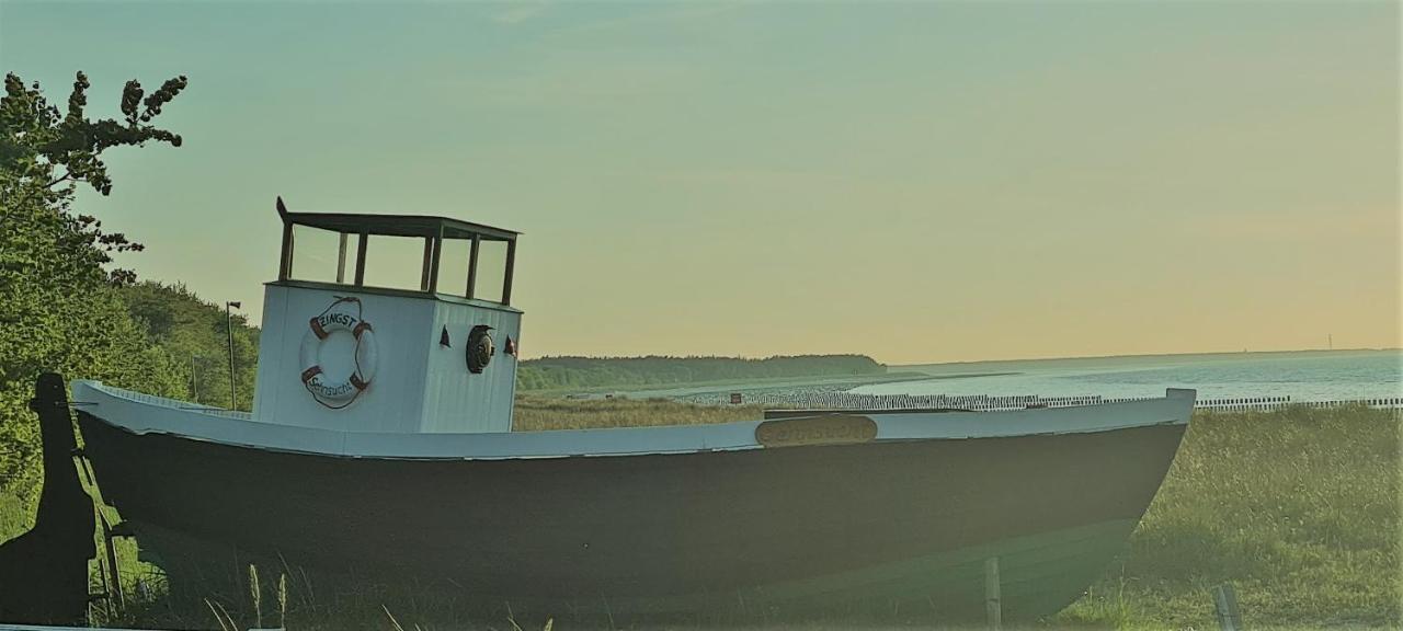 Ferienwohnung "Juliette" Zingst Buitenkant foto